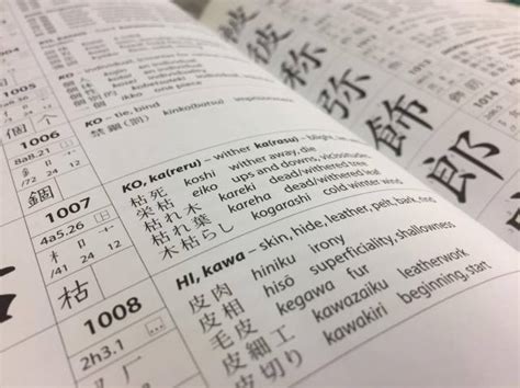 Translating the Magic: The Challenges of Conveying Japanese Names in Knights and Magic